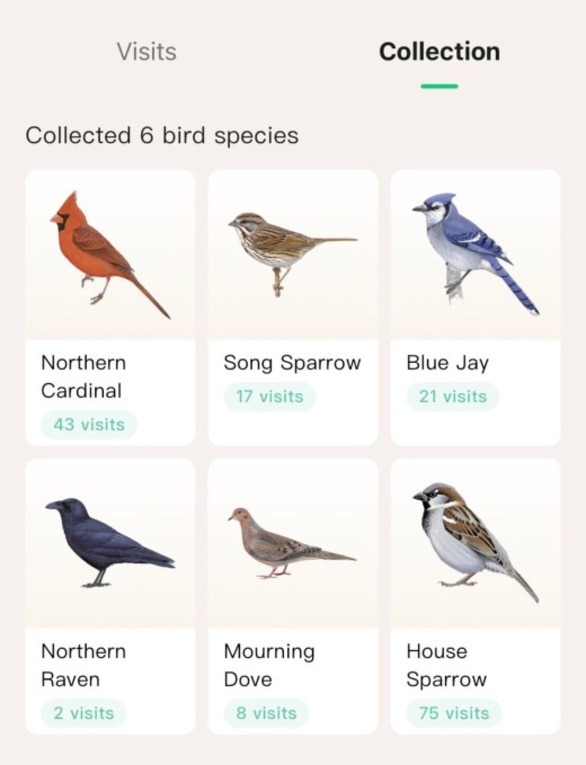 AI Bird Feeder Turns Backyards Into Nature Watching Hubs - Image 4