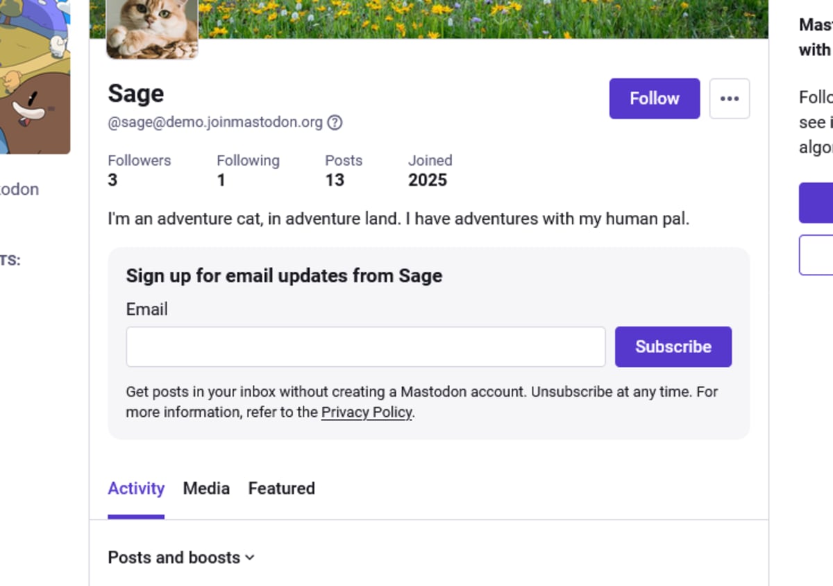 Mastodon's Email Newsletters Let You Skip Social Media - Image 2