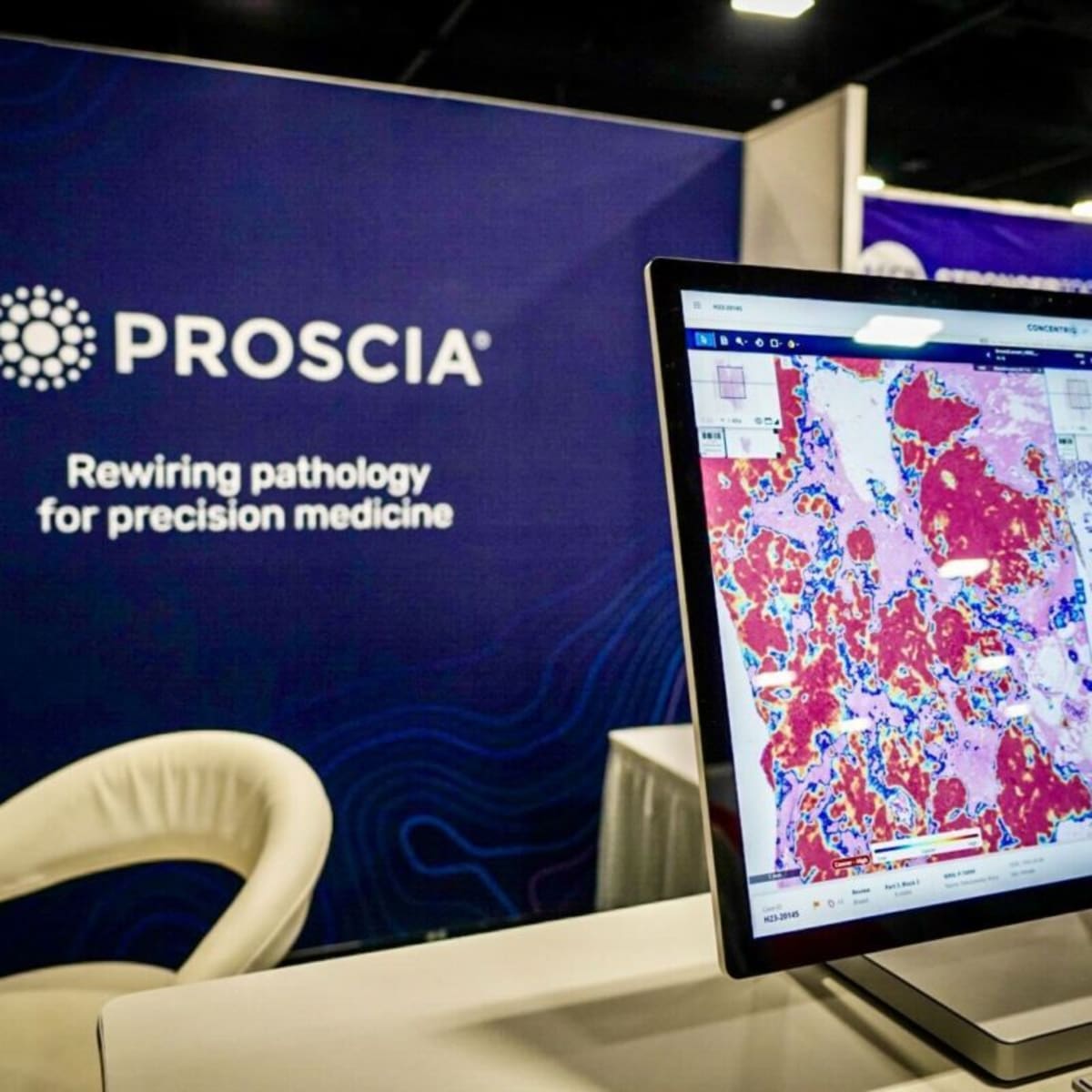 Women's Sports Are Reshaping Cities Without the Megadeal - Image 5