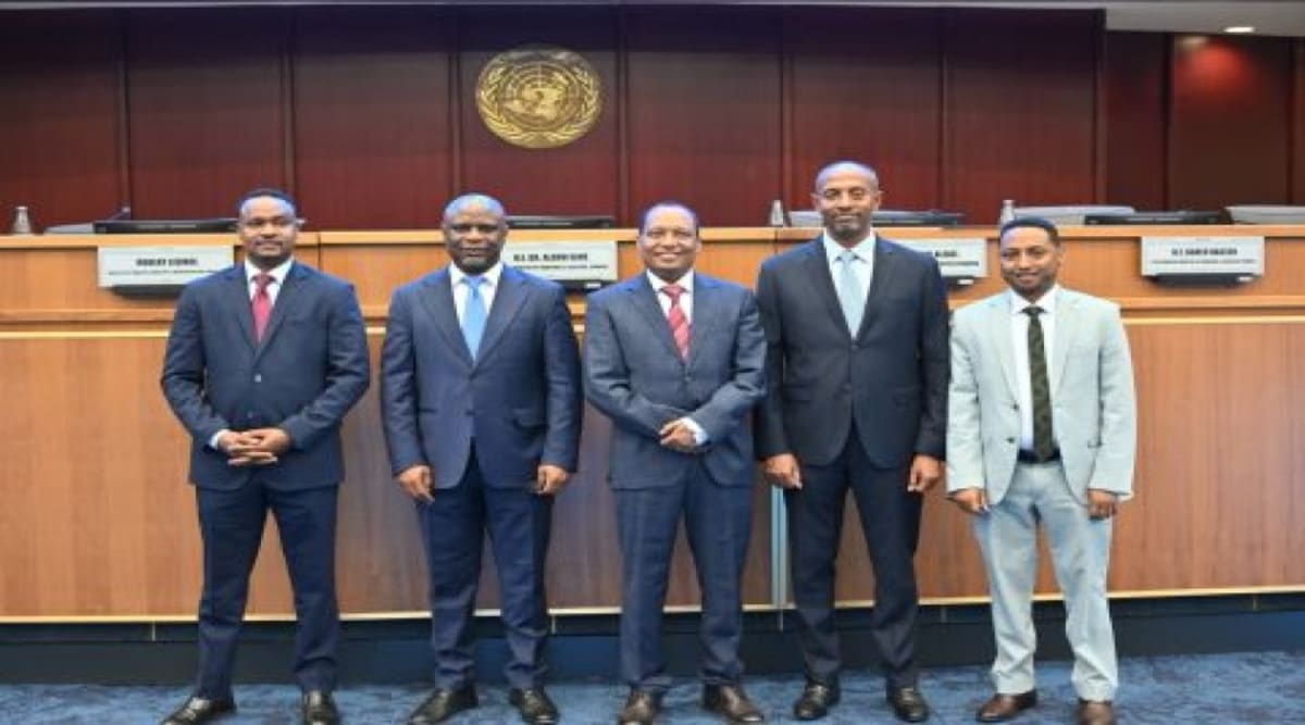 Ethiopia Launches E-Mobility Strategy for Cleaner Cities