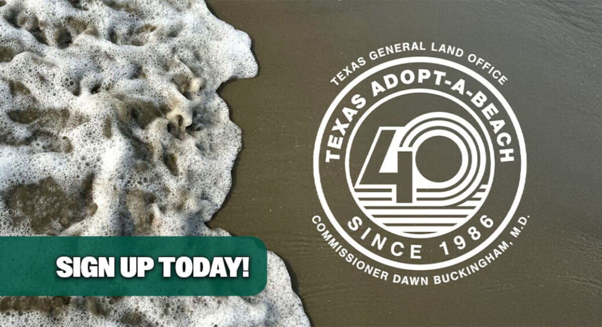 Volunteers collecting trash and debris along a sunny Texas beach during coastal cleanup event