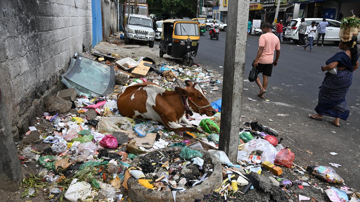 Bengaluru Launches GPS Tracking to Stop Illegal Dumping