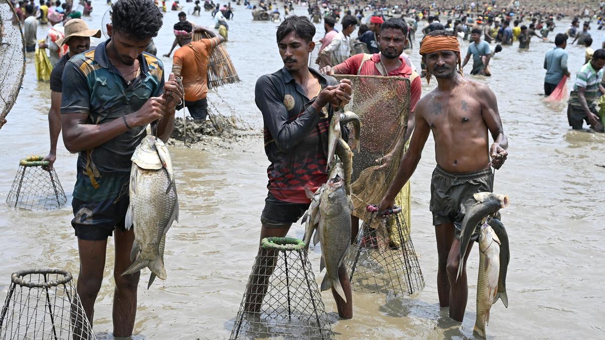 Hundreds Revive 20-Year Fishing Tradition in Karnataka