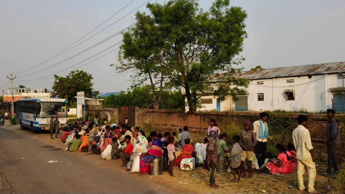 529 Workers Freed from Bonded Labor, Including 226 Children