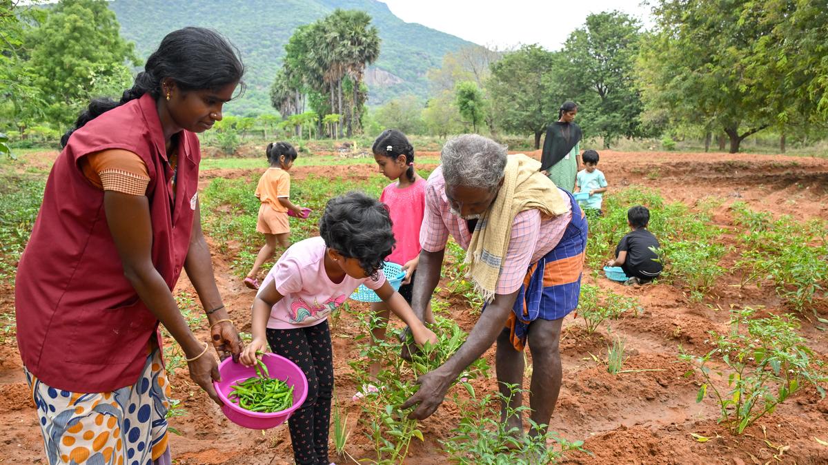 Children in bright clothing harvest green vegetables at outdoor summer camp in rural India
