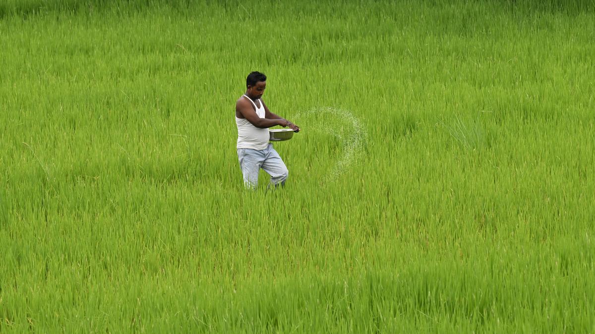 India Sends $2.3B to 93 Million Farmers This Week