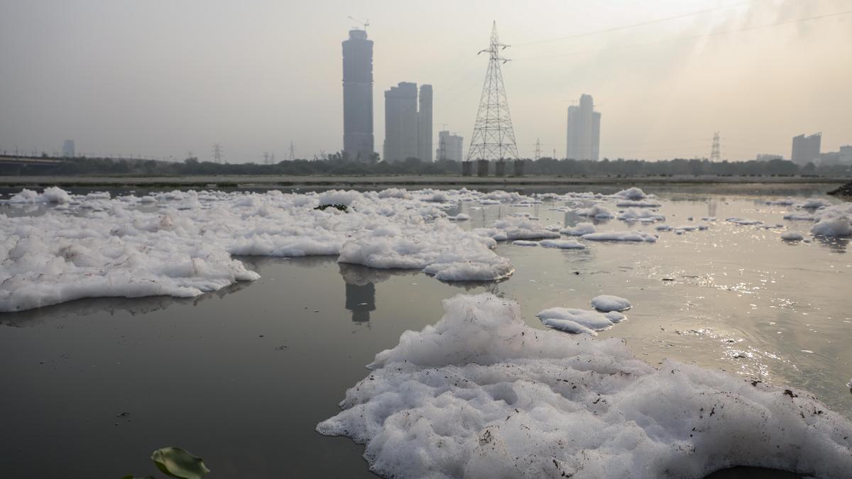 Delhi Mobilizes 500 Groups to Clean Yamuna River