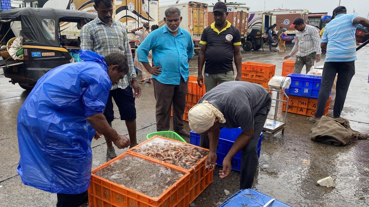 Fresh fish displayed at Karnataka fisheries outlet ready for digital platform delivery