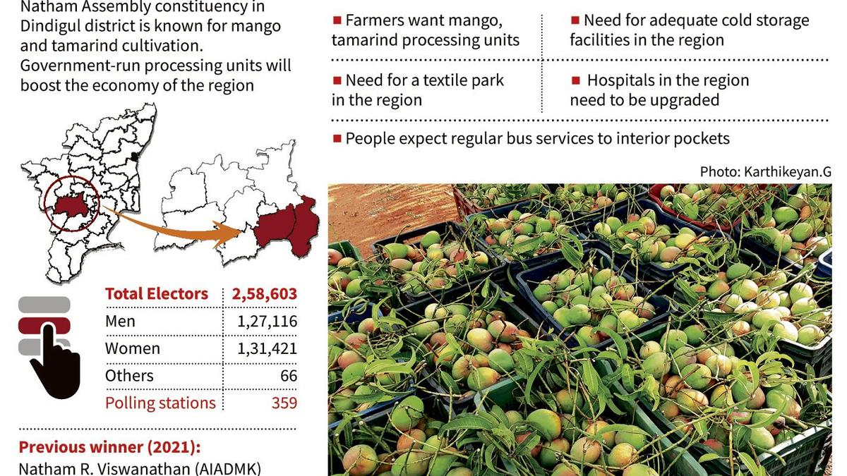 Tamil Nadu Mango Farmers Push for Processing Jobs
