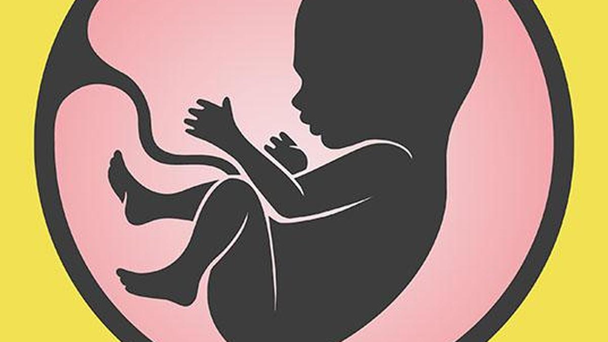 Indian Scientists Create Lab-Grown Placenta on a Chip