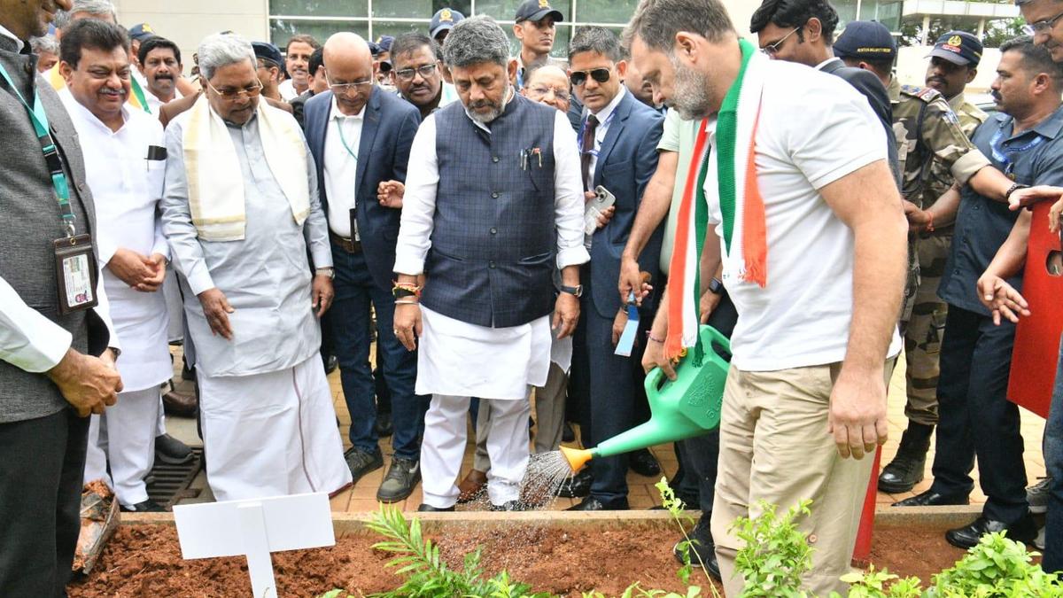 Workers planting young tree saplings in urban Bengaluru with green leaves and soil visible