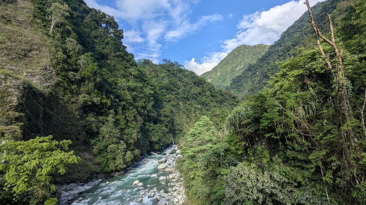 India's First Tree Database in 120 Years Goes Live