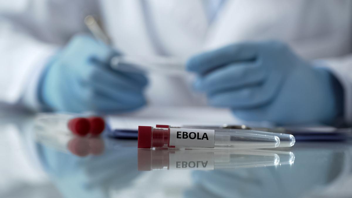 India and Africa Unite to Tackle Future Pandemics