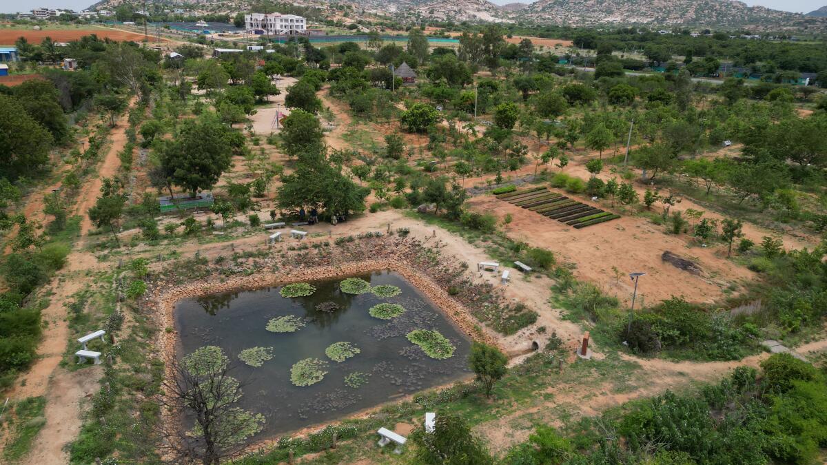 Aerial view of restored water bodies surrounded by greenery in once-barren Rayadurgam, India