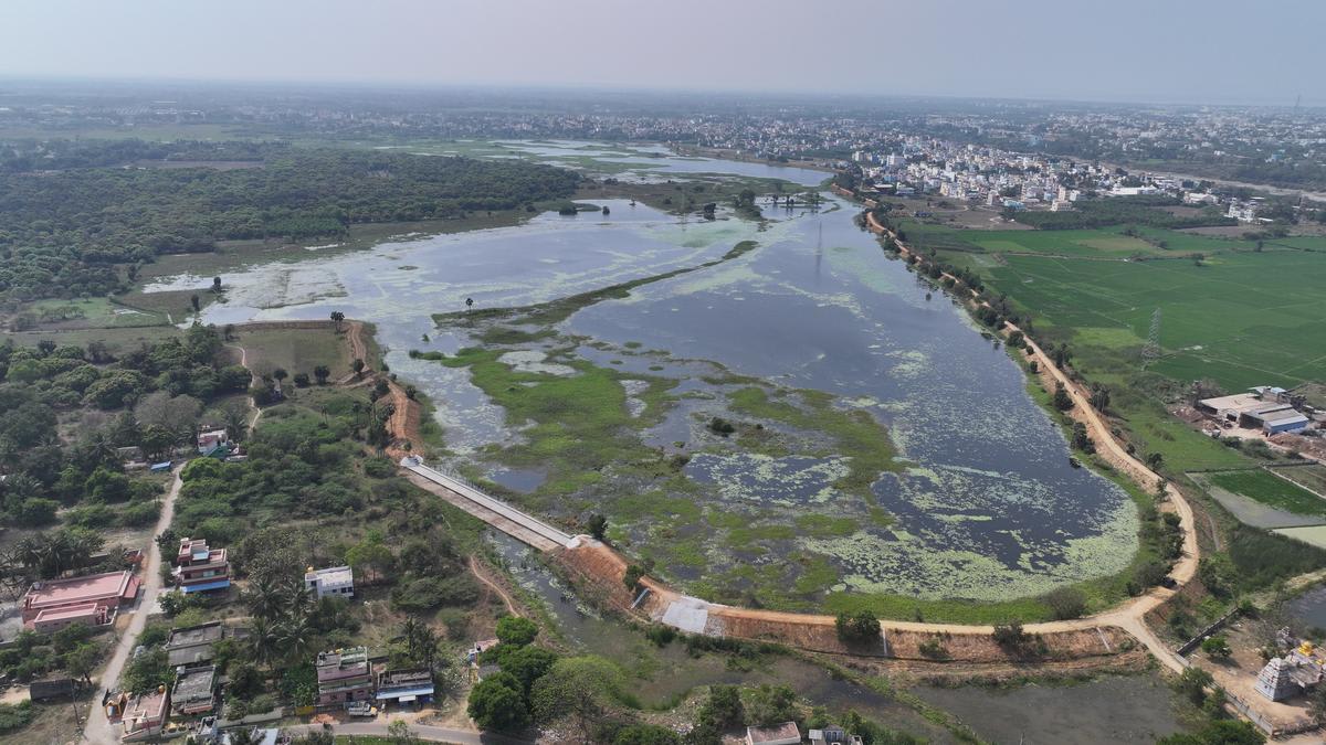 Residents Revive 300-Acre Lake in Chennai, India