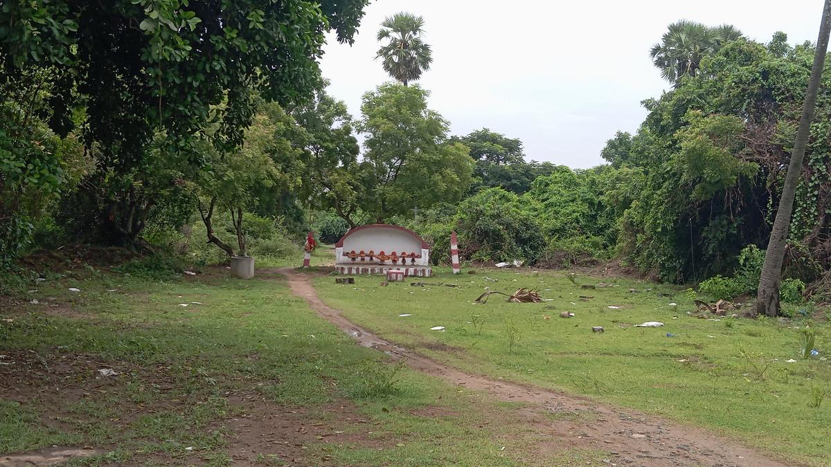 Chennai Residents Fight to Save Sacred Grove's 222 Species
