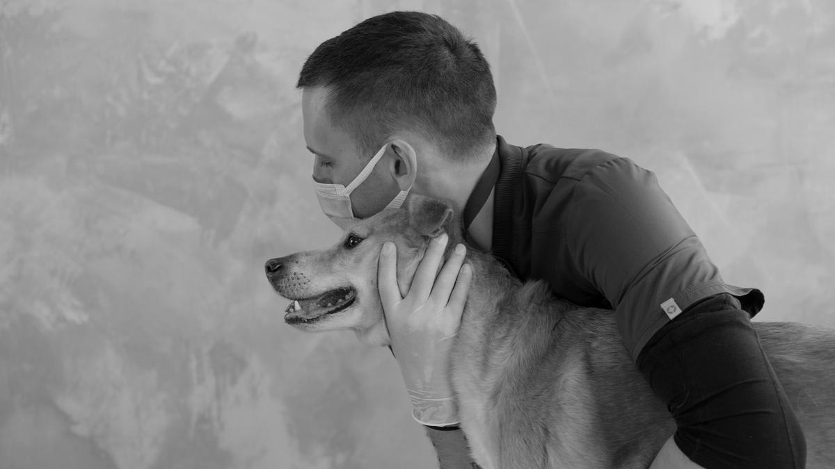 Illustration showing veterinarian caring for animal while carrying emotional weight of profession