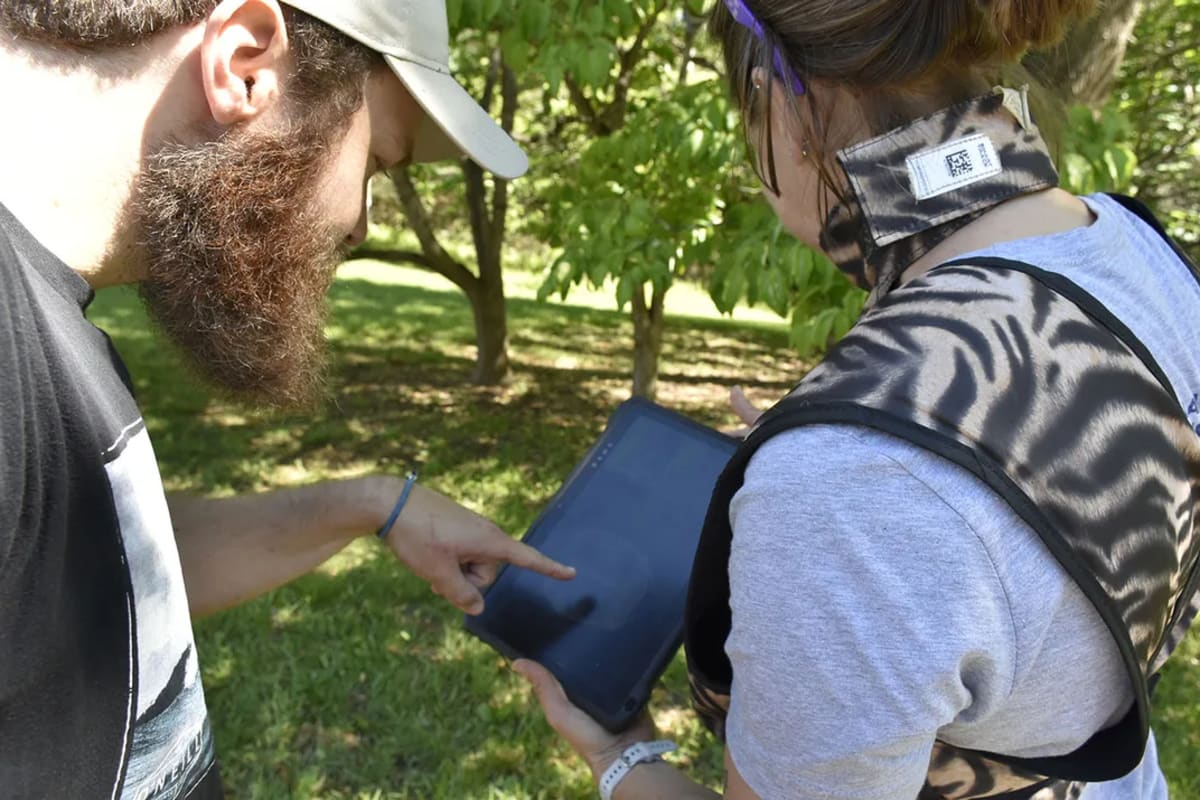 Smithsonian Cracks Box Turtle Mystery With Low-Tech Tools - Image 4