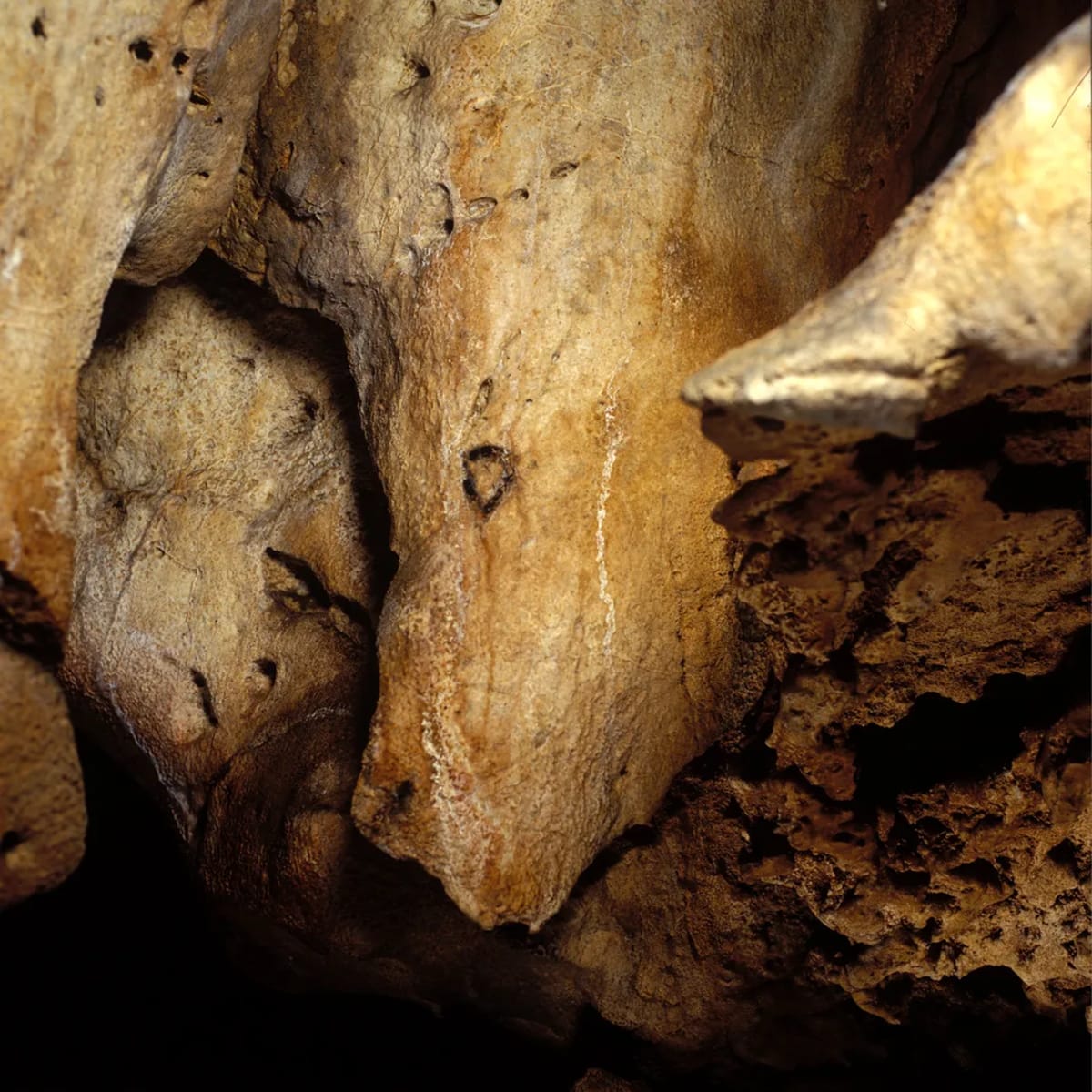 Cave Art Came Alive 30,000 Years Ago by Flickering Light - Image 5