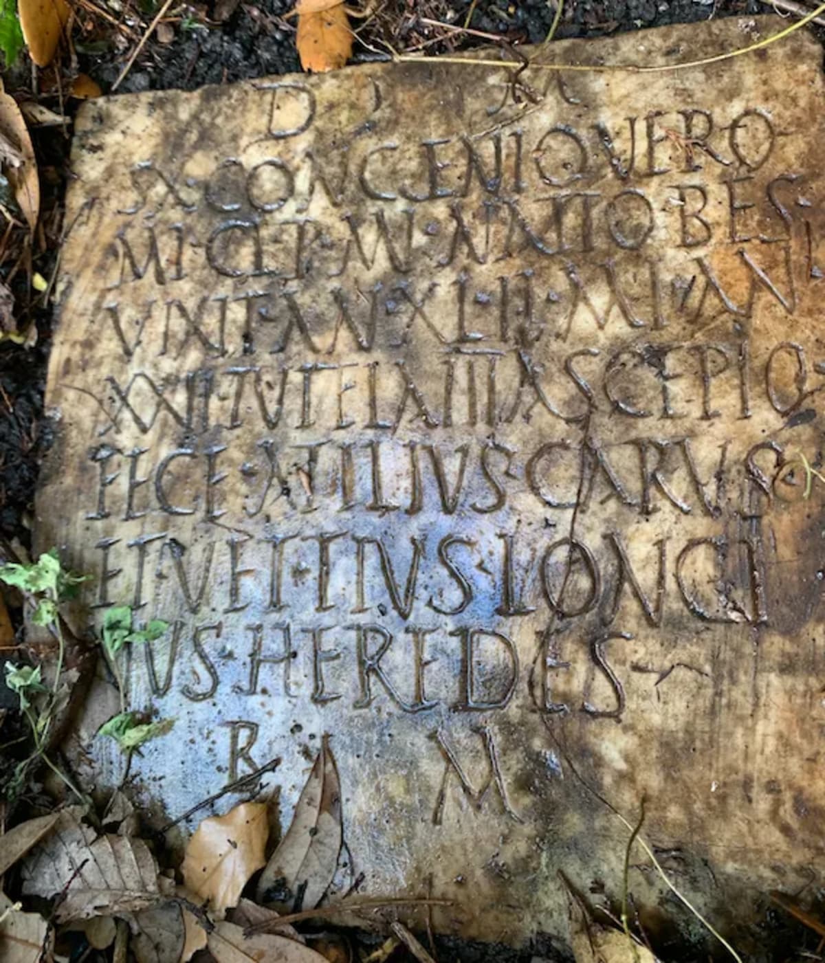 Ancient Roman Gravestone Returns to Italy After 80 Years - Image 5