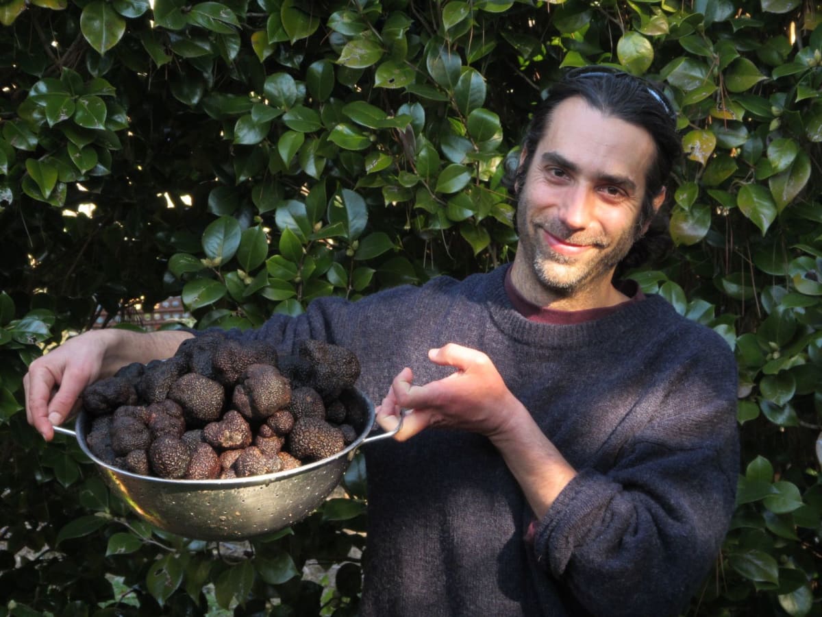 Australia's Truffle Farms Outpace Europe Thanks to Secret Edge