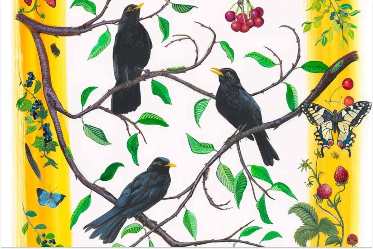 Artist Paints All 65 Birds From Shakespeare's Plays - Image 3