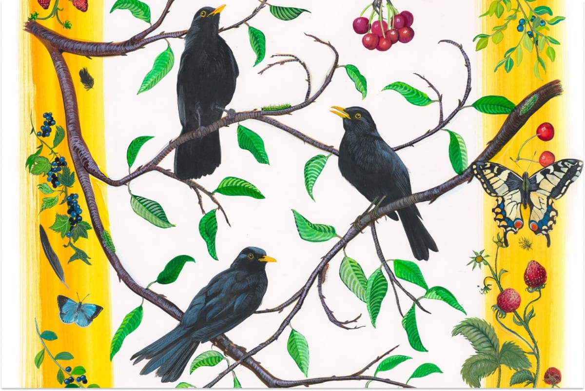 Artist Paints All 65 Birds From Shakespeare's Plays
