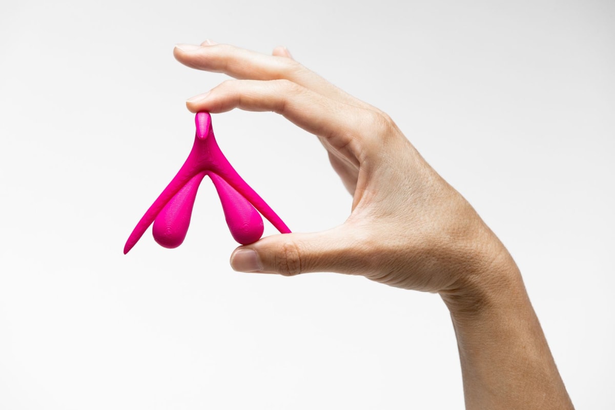 Scientists Create First 3D Map of Clitoris Nerve Network