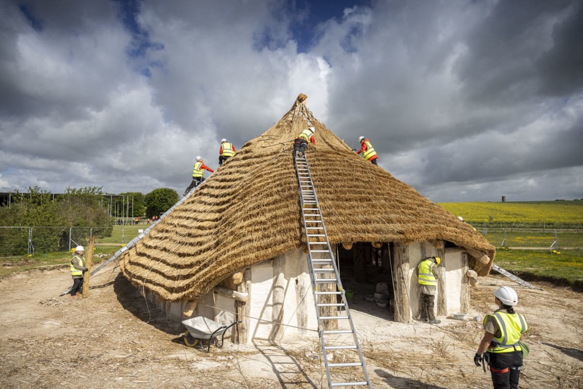 Volunteers Build 4,500-Year-Old Hall Using Stone Age Tools - Image 2