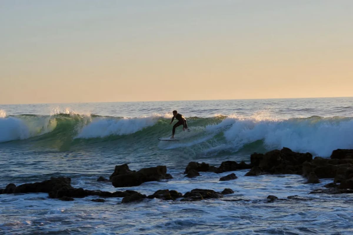 Surfers Team Up With Scientists to Protect Africa's Coast