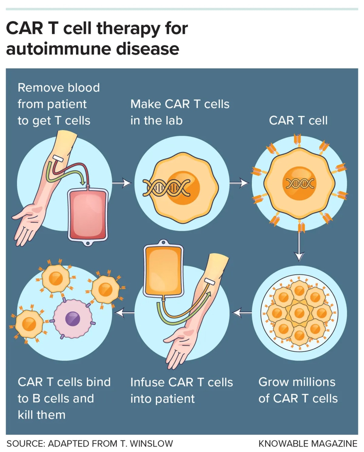 Cancer Treatment Now Resetting Immune Systems for MS Patients - Image 5