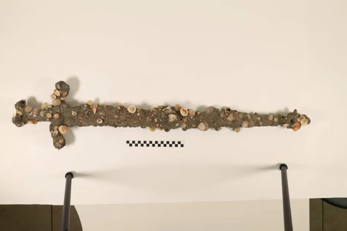 Diver Finds Second 900-Year-Old Sword Off Israeli Coast - Image 3