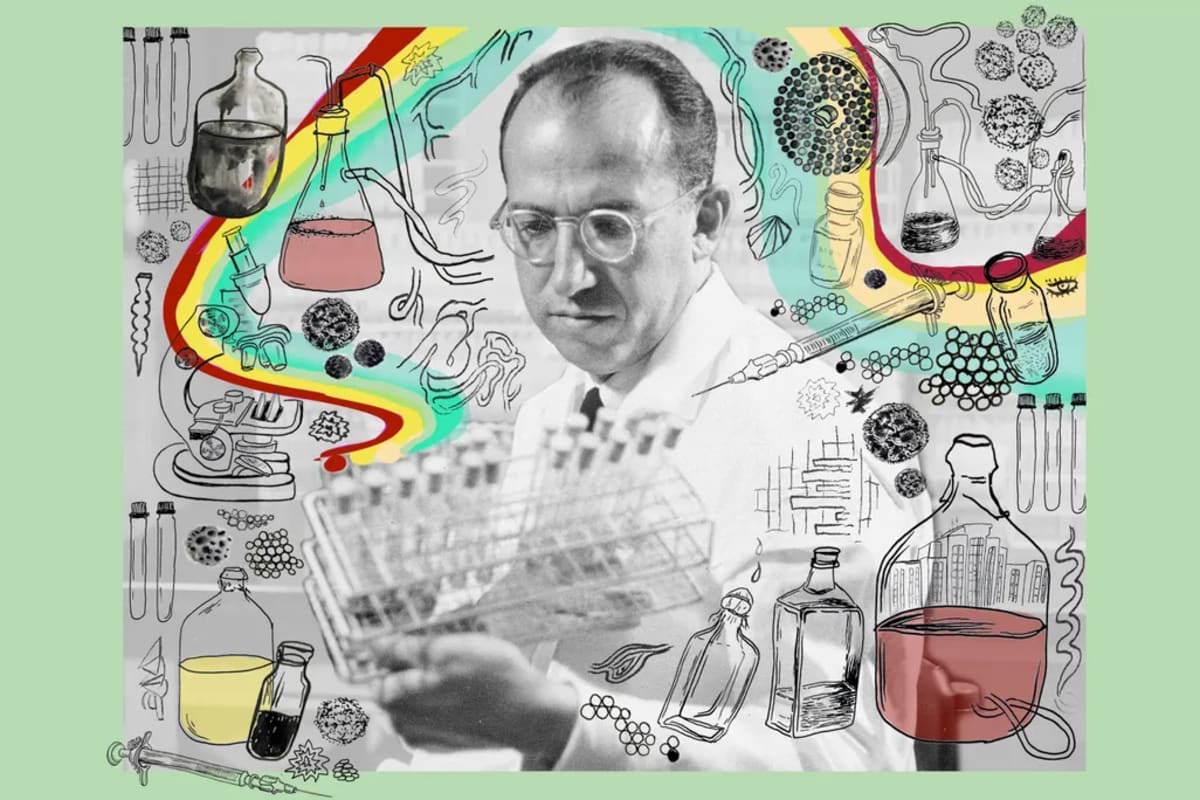 Jonas Salk's Polio Vaccine Saved Millions of Children - Image 3