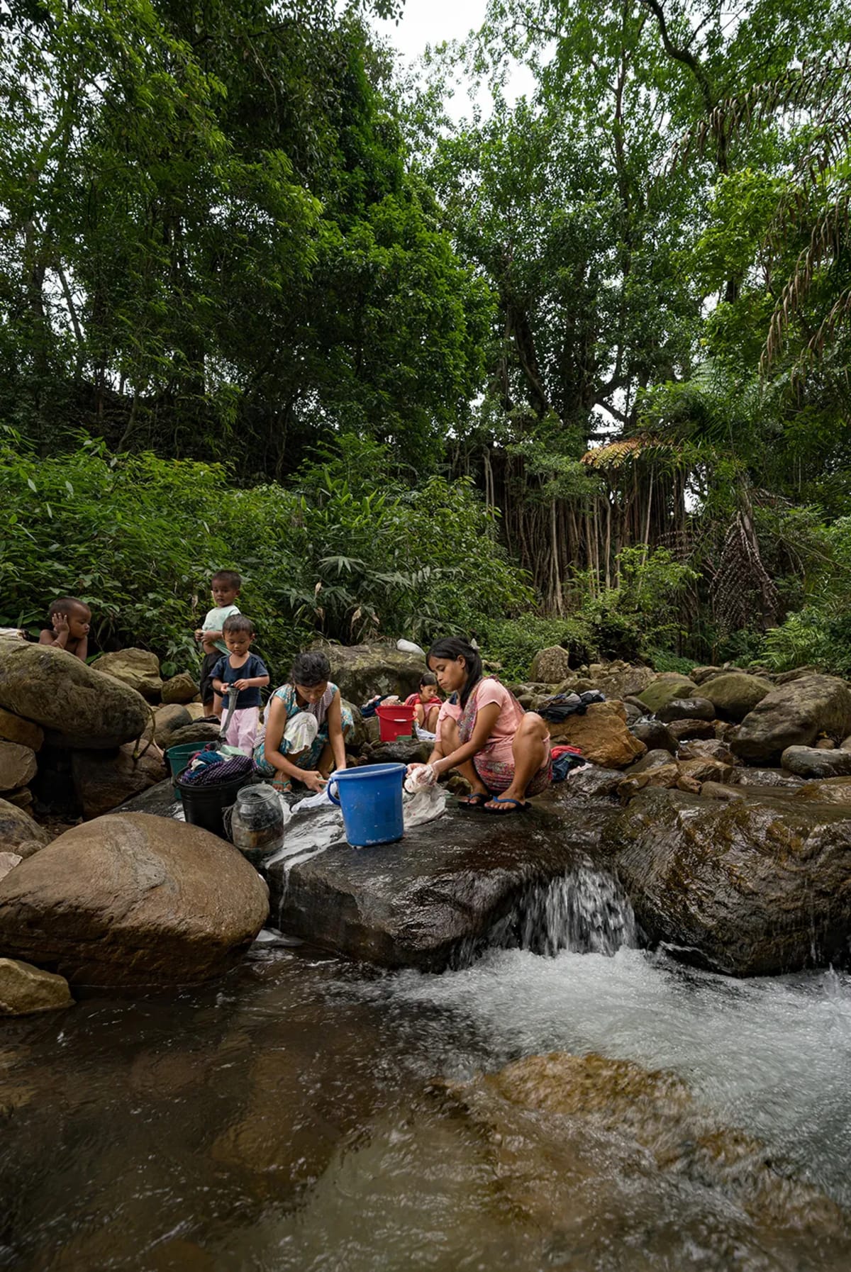 India's Living Root Bridges Grow Stronger for 700 Years - Image 5