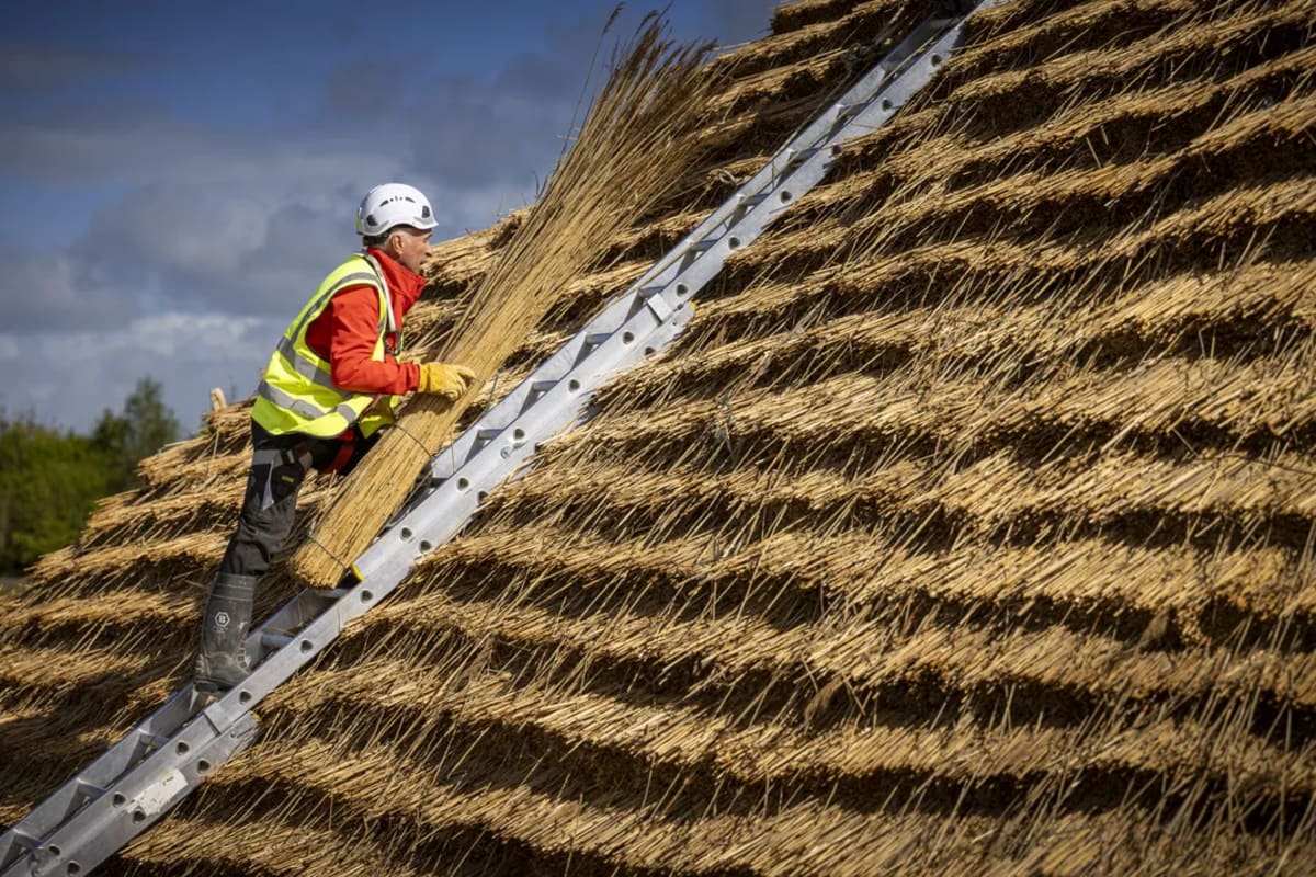 Volunteers Build 4,500-Year-Old Hall Using Stone Age Tools - Image 4