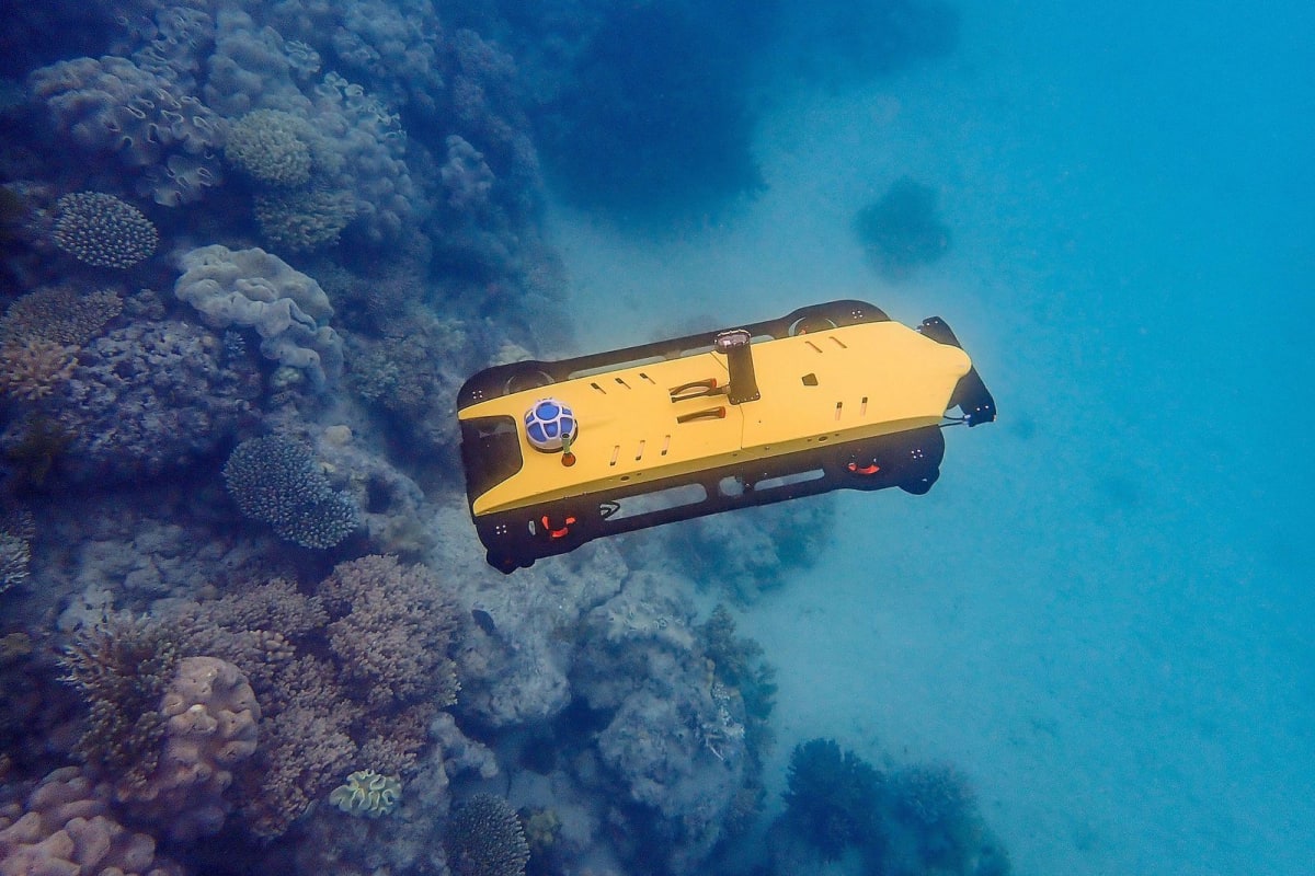 Robot Ships Could Save Dying Coral Reefs at $1 Per Coral