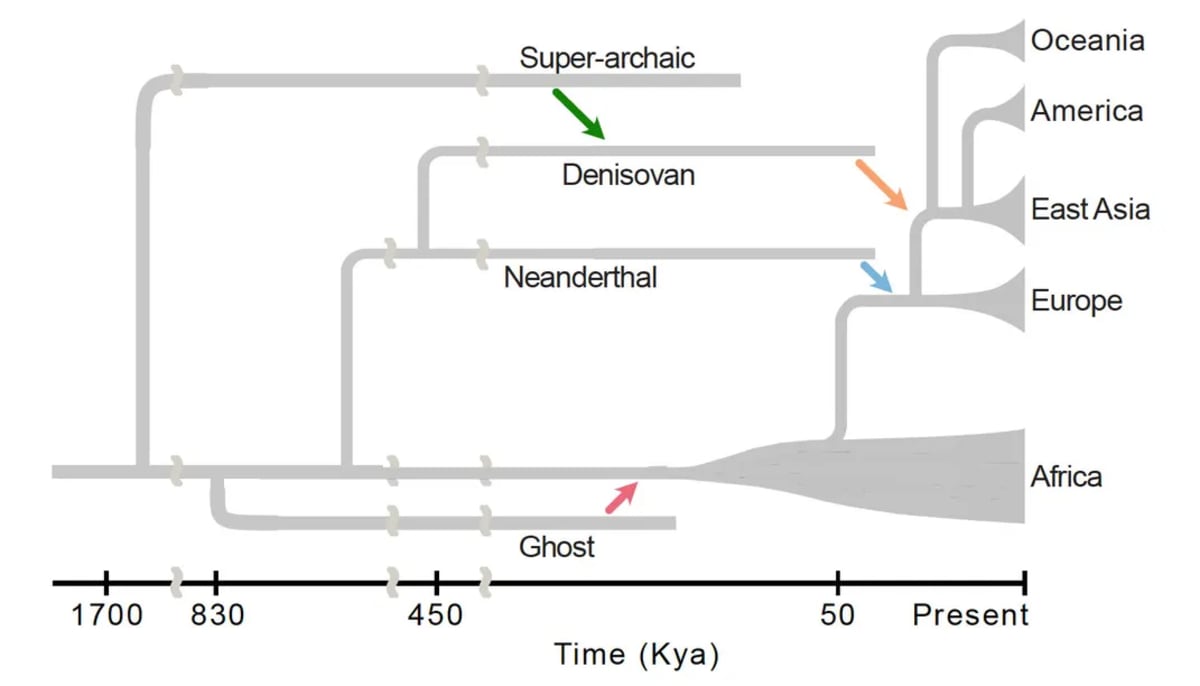 Scientists Find Two 'Ghost' Ancestors Hidden in Our DNA - Image 4
