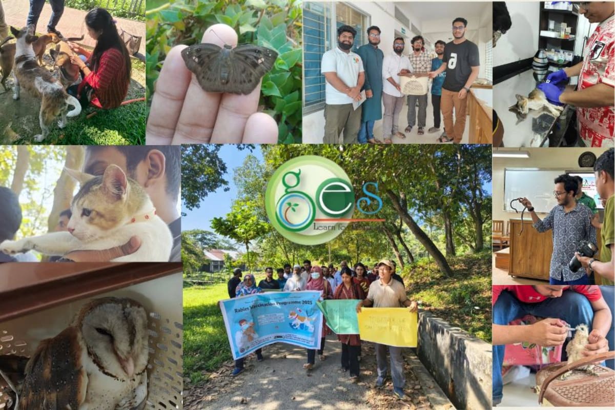Student Volunteers Rescue Wildlife Across Bangladesh