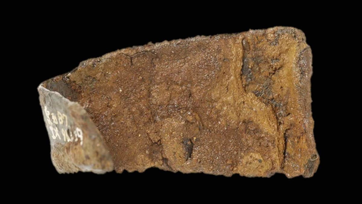 Japan's Oldest Iron Saw Found Hiding in Plain Sight