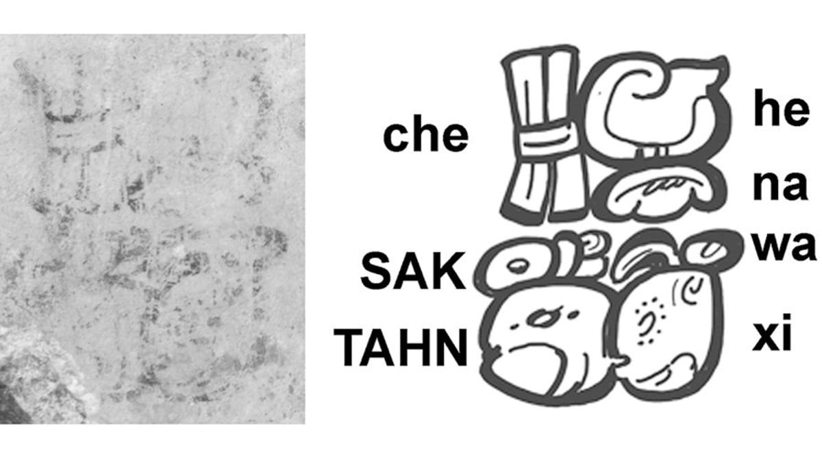 Ancient Maya wall inscription showing mathematical formulas with astronomer Sak Tahn Waax's signature