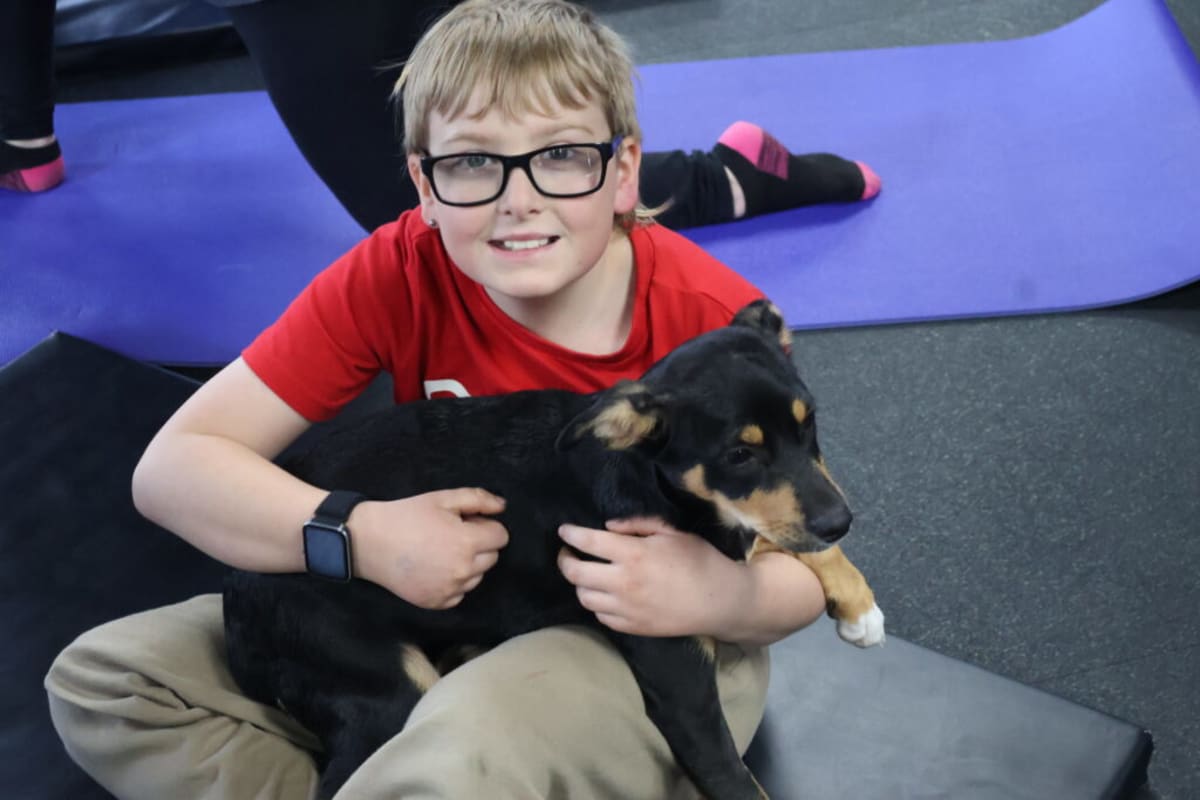 Puppies Help Nova Scotia Gym Raise $1,500 for Rescue Dogs - Image 2