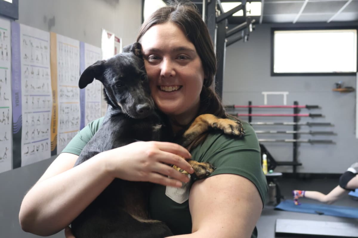 Puppies Help Nova Scotia Gym Raise $1,500 for Rescue Dogs - Image 4