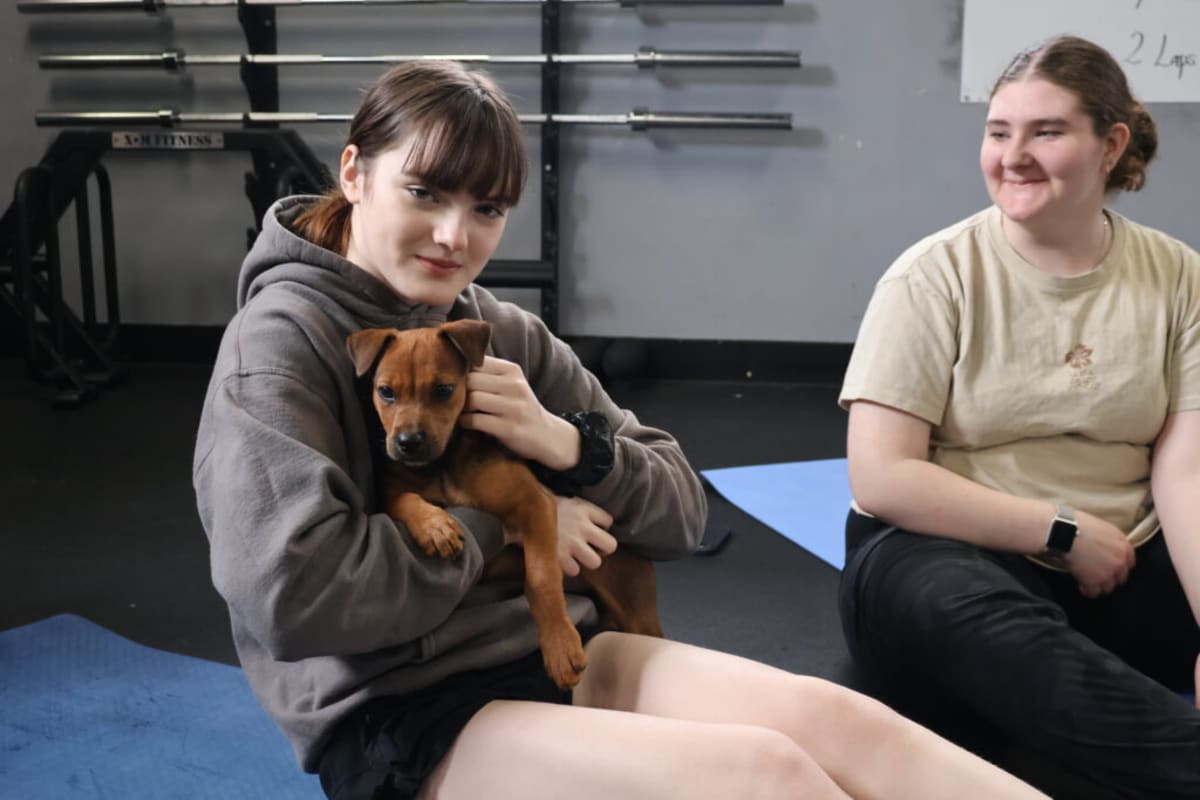 Puppies Help Nova Scotia Gym Raise $1,500 for Rescue Dogs - Image 3