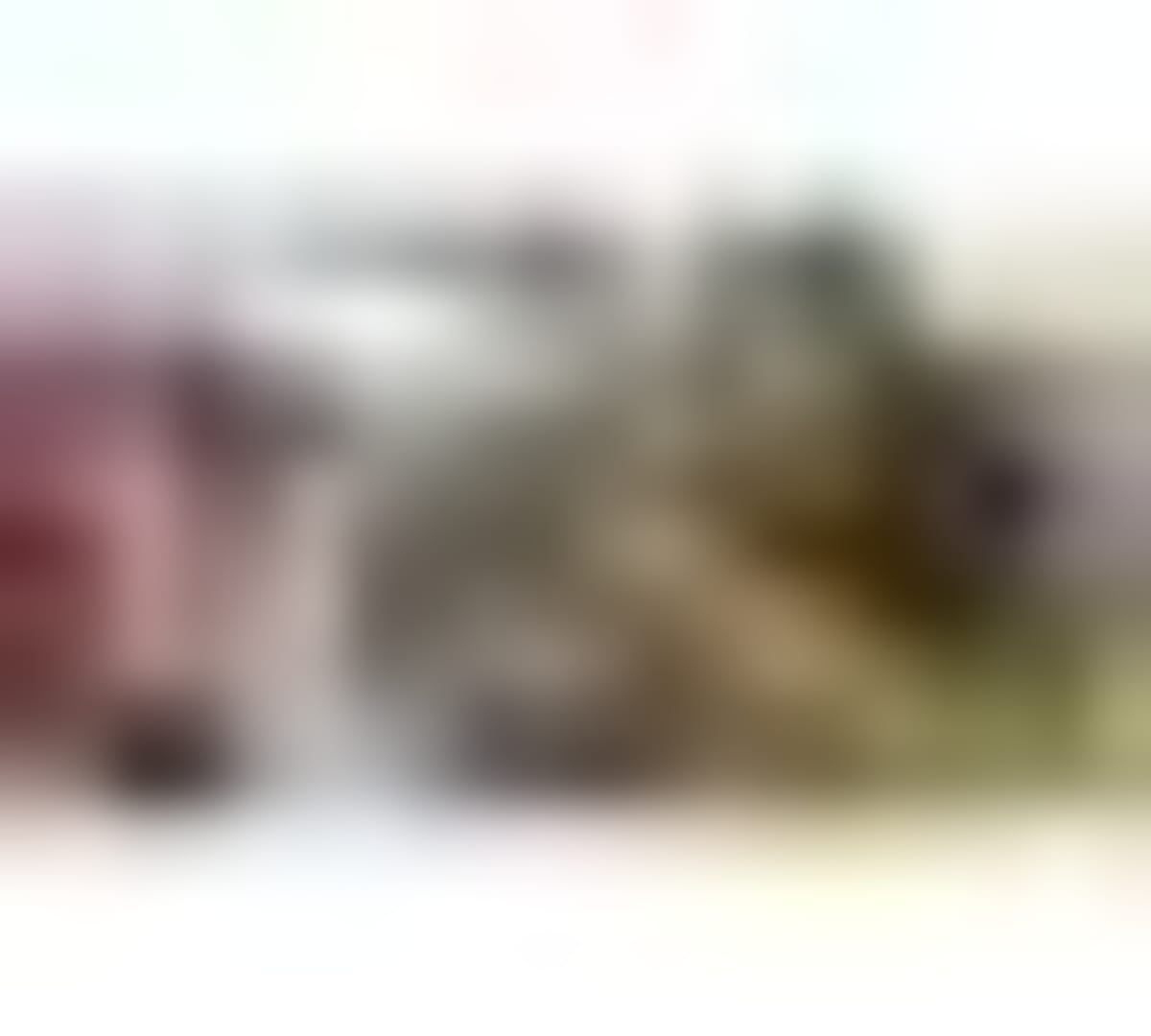 Cairo Tech Firm Teaches 2026 Grads Customer-First Growth - Image 5