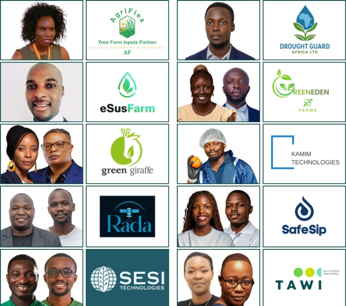 10 African Climate Startups Win Global Backing - Image 3