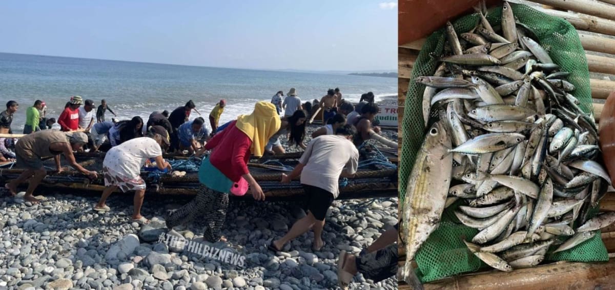 Filipino fisherfolk pulling large nets from coastal waters using Japanese-inspired Lambaklad fishing system
