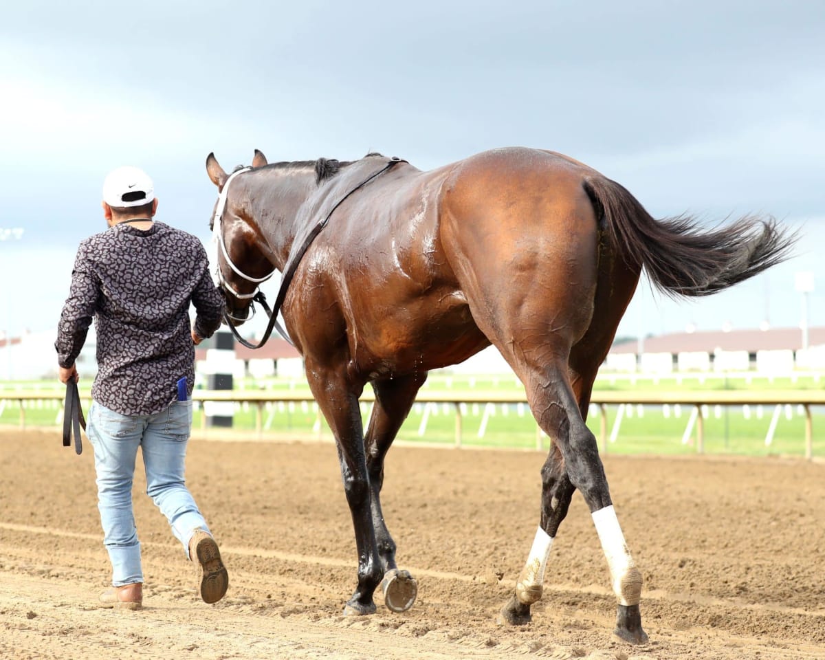 Horse racing finish line at Horseshoe Indianapolis racetrack with jockeys competing