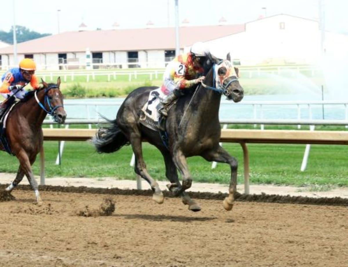 Reporter Bets on Horses to Help Homeless Veterans - Image 4