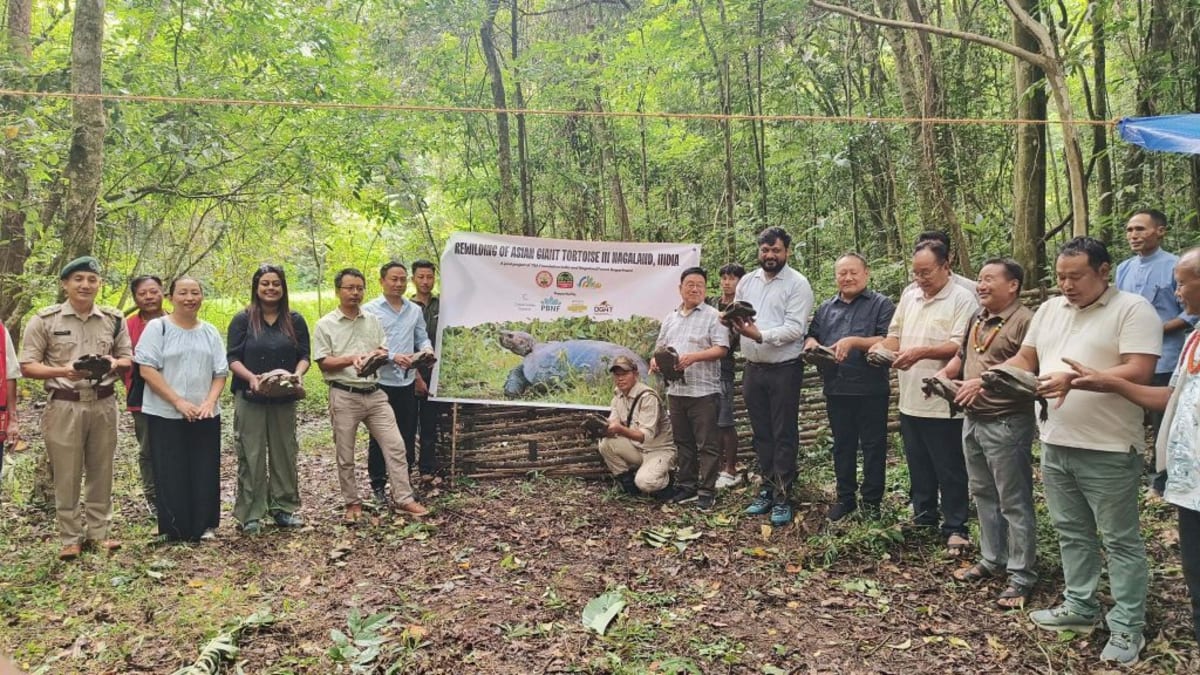 Indian Village Brings Giant Tortoises Back from the Brink