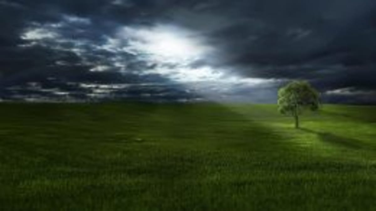 Conservation Wins Need Hundreds—Only a Few Get Credit - Image 2